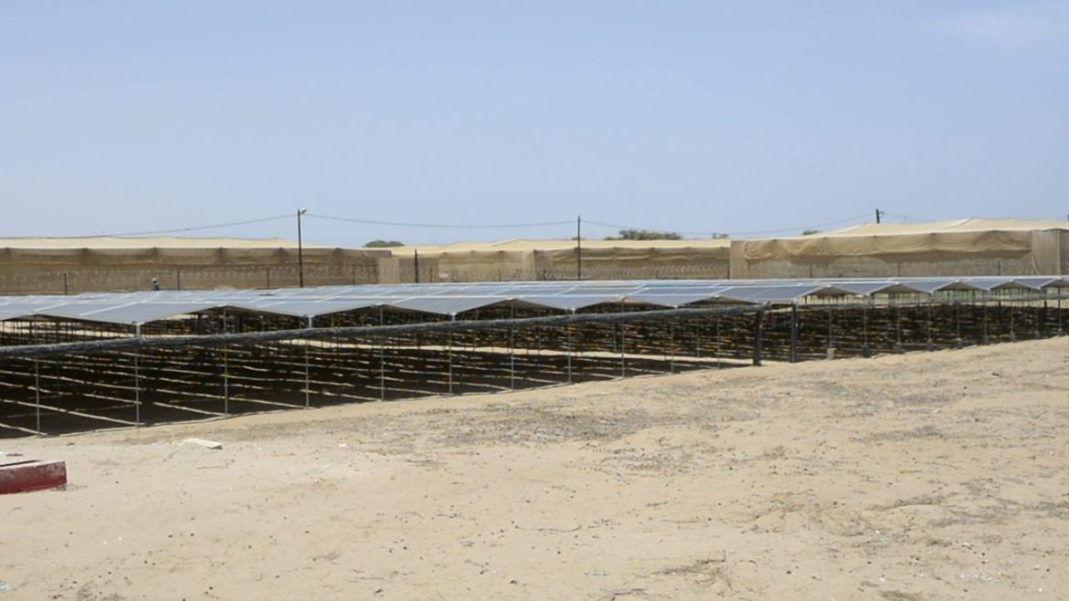Inauguration de la centrale photovoltaïque de Diama : GRIPS Energy et la SCL célèbrent la réussite de leur projet solaire.